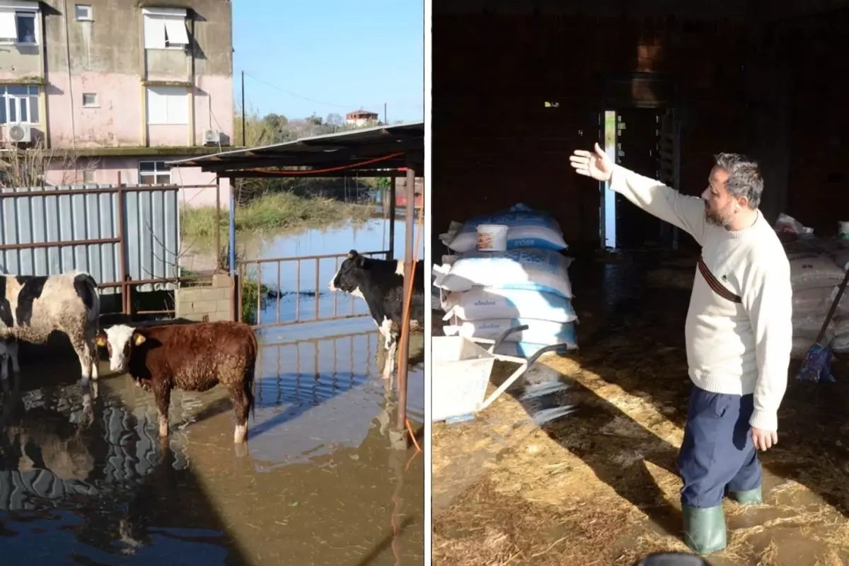 Ливень в Анталии парализовал жизнь! Спасены застрявшие животные