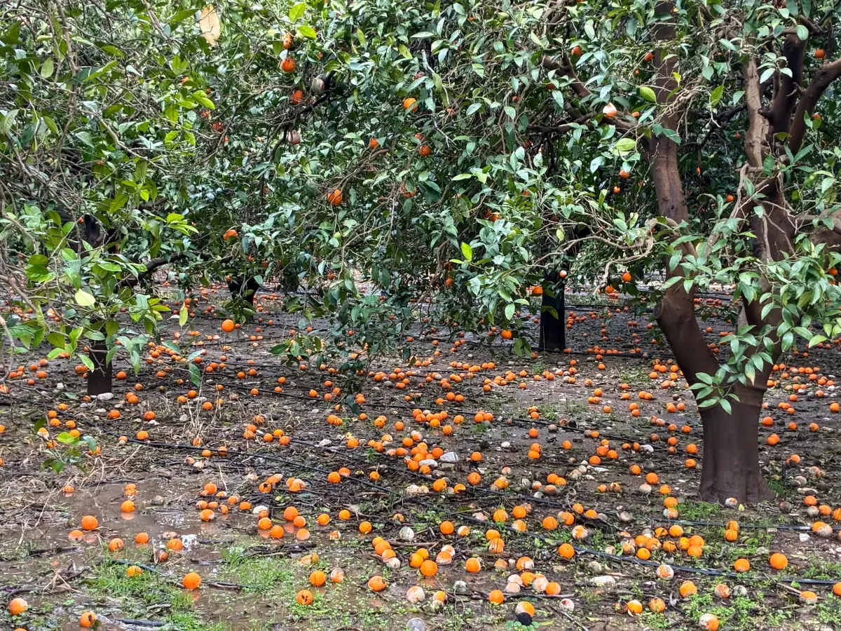 Ливень в Анталье негативно повлиял на жизнь